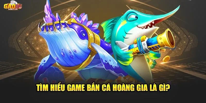 Bắn cá hoàng gia và những gì bạn cần biết?