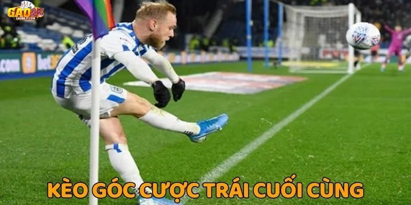Theo dõi thống kê là bước đầu thành công khi chơi kèo góc GAO86