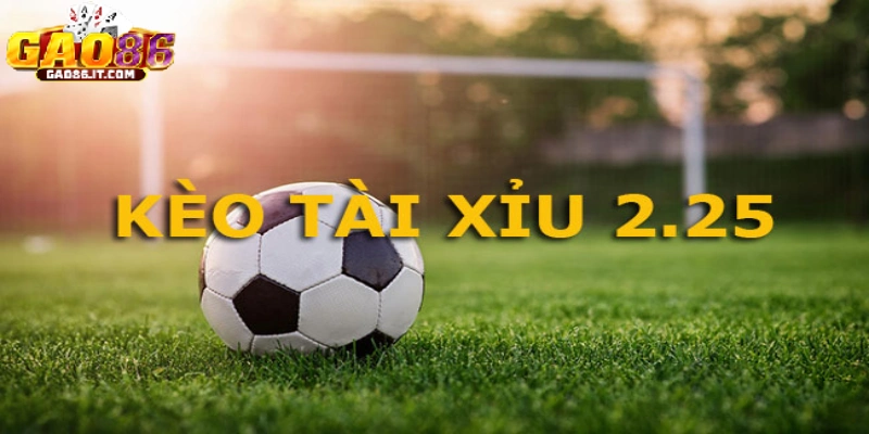 Tỷ lệ kèo được cập nhật để người chơi thỏa mãn đam mê