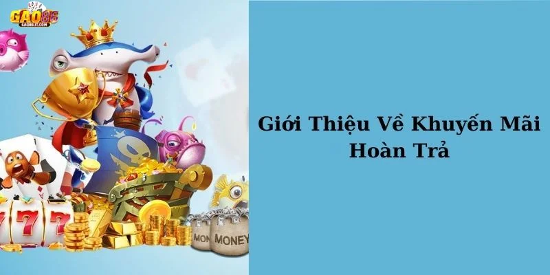 Minh bạch là điều hội viên nhắc đến GAO86