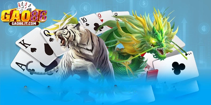 Rồng hổ GAO86 cho trải nghiệm cực chuyên nghiệp